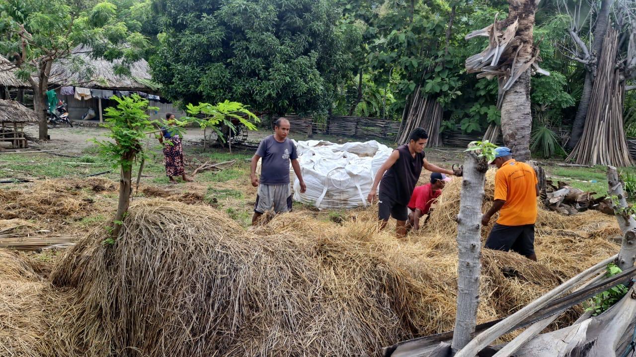 Melihat Persiapan BOBIBOS di Timor Leste Menjelang Peluncuran oleh PM Xanana Gusmao